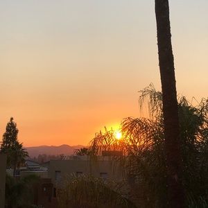 Meet your Posher, Elijah augustus